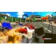 Igra Formula Retro Racing: World Tour (Nintendo Switch)