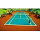 Igra 40 Sports Games In 1 (Nintendo Switch)