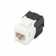 Digitus modul CAT.6 UTP toolless DN-93603