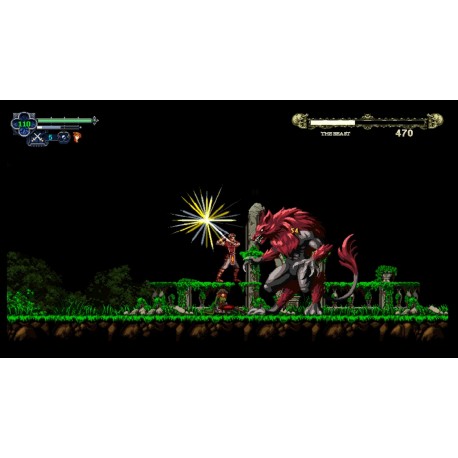 Igra Chronicles Of The Wolf (Nintendo Switch)