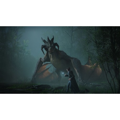 Igra Hogwarts Legacy (Nintendo Switch)