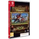 Igra Harry Potter: Quidditch Champions Deluxe Edition (Nintendo Switch)