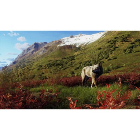 Igra Way Of The Hunter - Wild Expeditions (Xbox Series X)