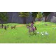 Igra Barbie: Horse Trails (Playstation 5)