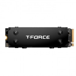 SSD disk 2TB M.2 NVMe Teamgroup GE Pro TM8FG3002T0C133, s hladilnikom