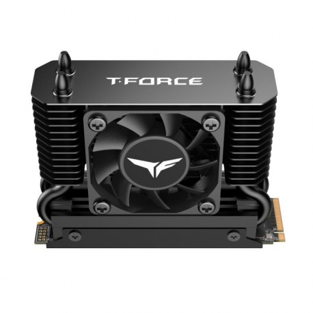 SSD disk 2TB M.2 NVMe Teamgroup GE Pro TM8FG3002T0C133, s hladilnikom