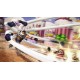 Igra One Piece Pirate Warriors 4 (Playstation 5)