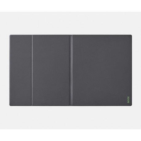 Ovitek BOOX Note, Tab Series, etui za model Note Max / Tab X C