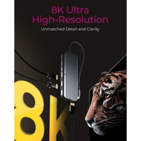 Priklopna postaja IcyBox IB-DK4060-CPD, 12-v-1, USB-C