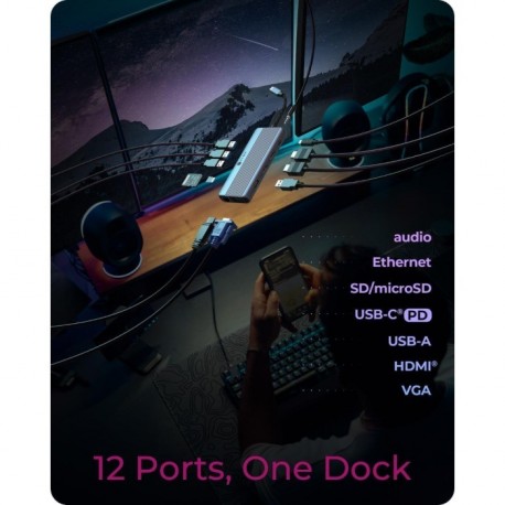 Priklopna postaja IcyBox IB-DK4062-CPD, 12-v-1, USB-C