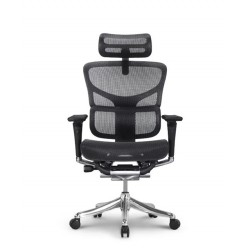 Pisarniški stol Ergovision Smart Plus Pro, črn