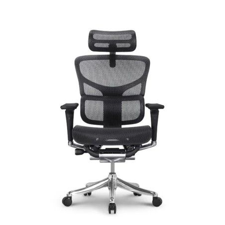 Pisarniški stol Ergovision Smart Plus Pro, črn