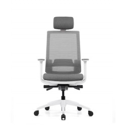 Pisarniški stol Ergovision Expert belo/siv