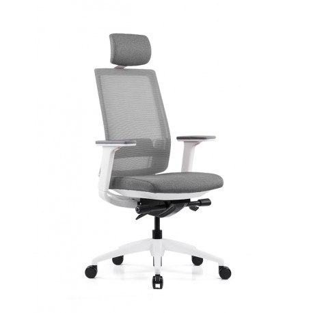 Pisarniški stol Ergovision Expert belo/siv