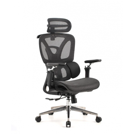Pisarniški stol Ergovision Trek Plus, črn