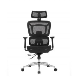 Pisarniški stol Ergovision Apollo Plus, črn