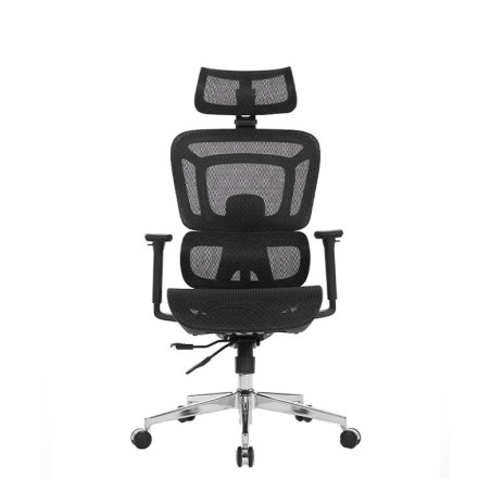 Pisarniški stol Ergovision Apollo Plus, črn