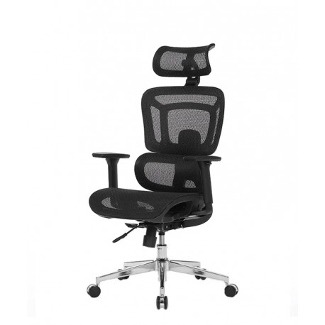 Pisarniški stol Ergovision Apollo Plus, črn