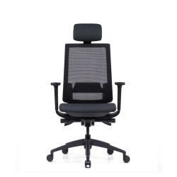 Pisarniški stol Ergovision Expert, črn