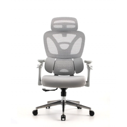 Pisarniški stol Ergovision Trek, siva