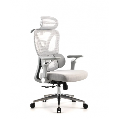 Pisarniški stol Ergovision Trek, siva
