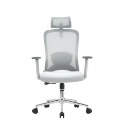 Pisarniški stol Ergovision Nexus, siv