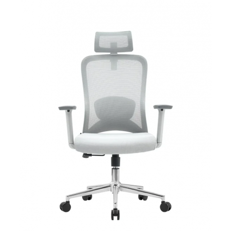 Pisarniški stol Ergovision Nexus, siv