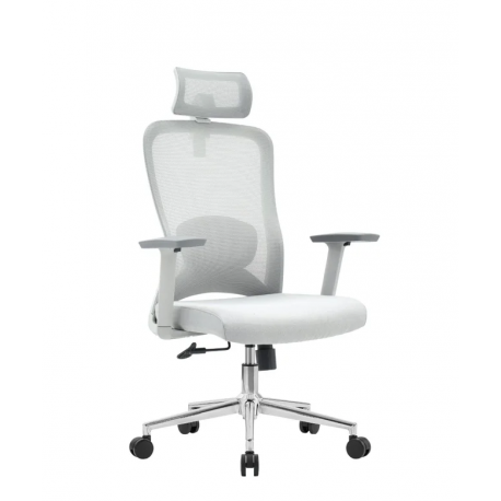 Pisarniški stol Ergovision Nexus, siv