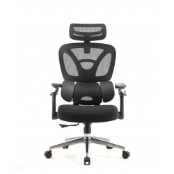 Pisarniški stol Ergovision Trek, črn