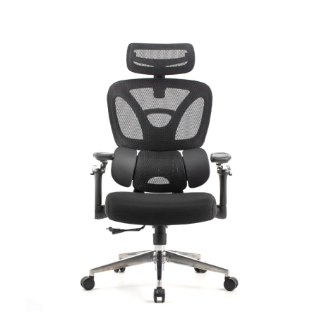 Pisarniški stol Ergovision Trek, črn