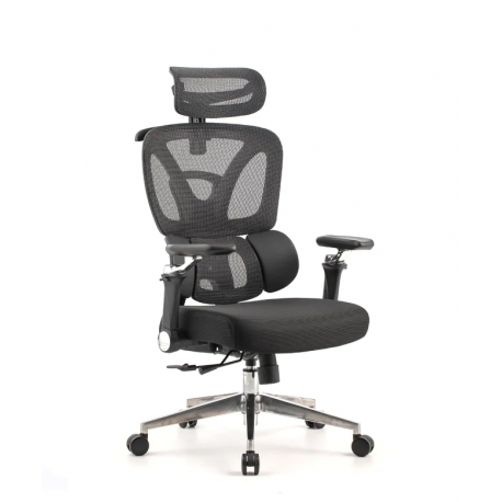 Pisarniški stol Ergovision Trek, črn