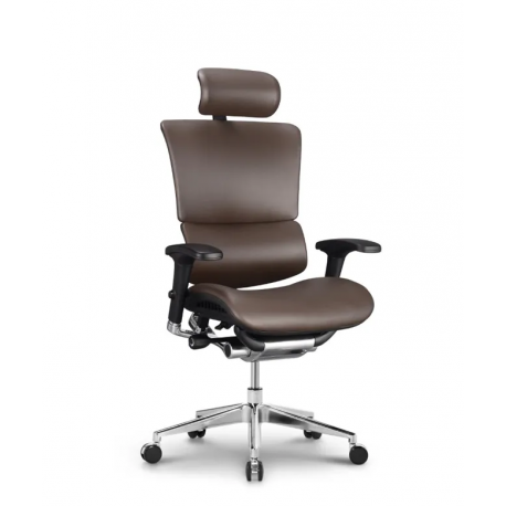 Pisarniški stol Ergovision SMART DELUXE, temno rjav