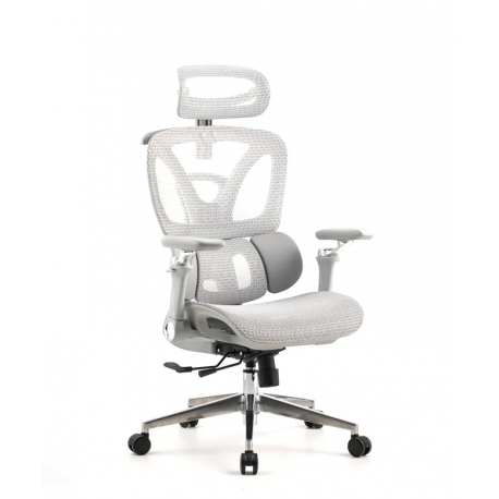 Pisarniški stol Ergovision Trek Plus, siva, odprta embalaža (sestavljen)