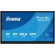 Monitor IIYAMA ProLite TE5513A-B1AG