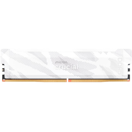 Pomnilnik DDR5 16GB 6400MHz Crucial Pro CP16G64C32U5W