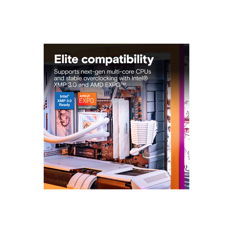 Pomnilnik DDR5 16GB 6400MHz Crucial Pro CP16G64C32U5W