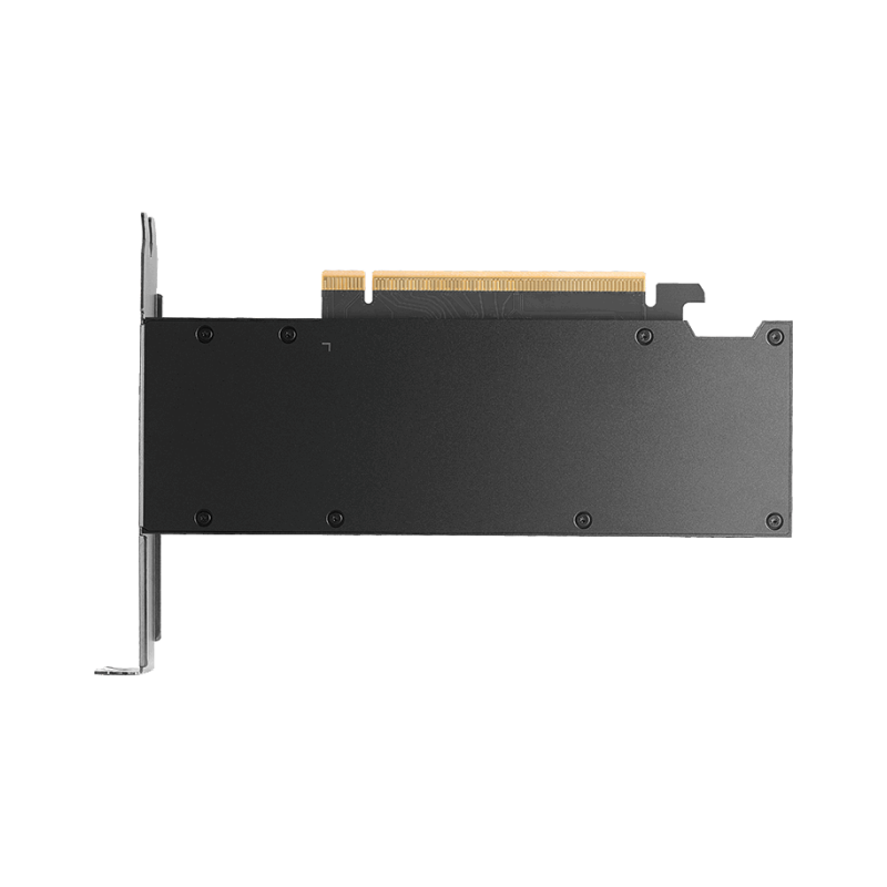 Grafična kartica PNY Nvidia RTX Pro 2000 Blackwell 16GB