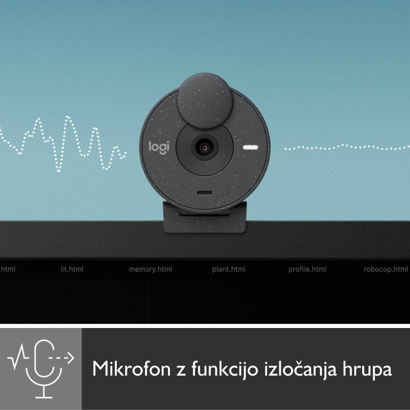 Kamera Logitech Brio 300, grafitna, USB