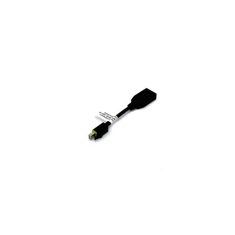 Adapter Mini DisplayPort v DisplayPort, z zaklepom, 0.1m, PNY