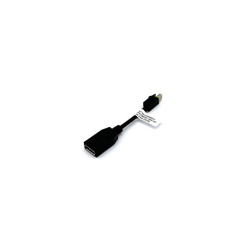 Adapter Mini DisplayPort v DisplayPort, z zaklepom, 0.1m, PNY