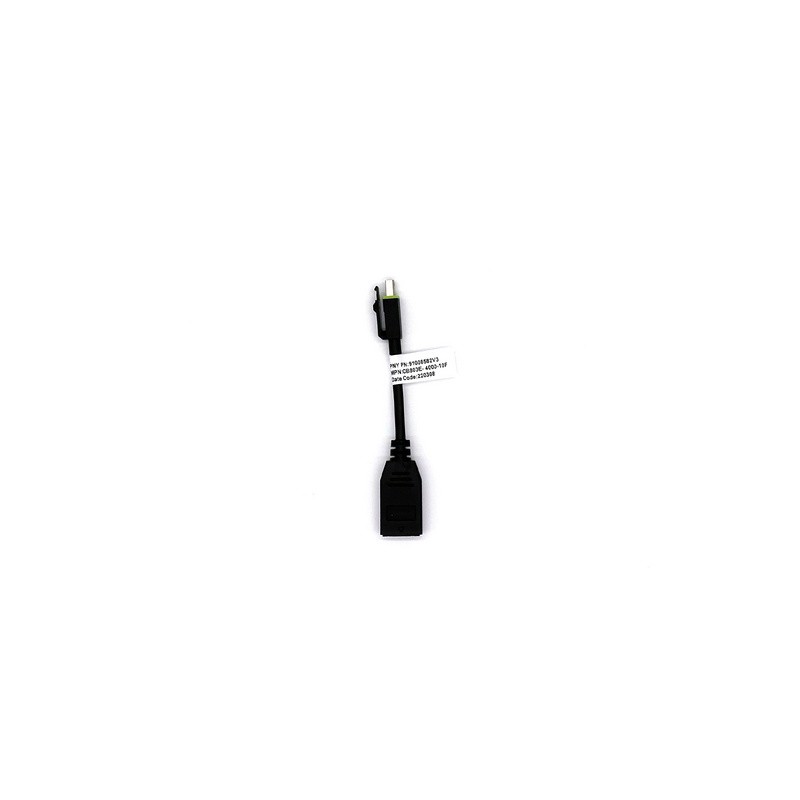 Adapter Mini DisplayPort v DisplayPort, z zaklepom, 0.1m, PNY
