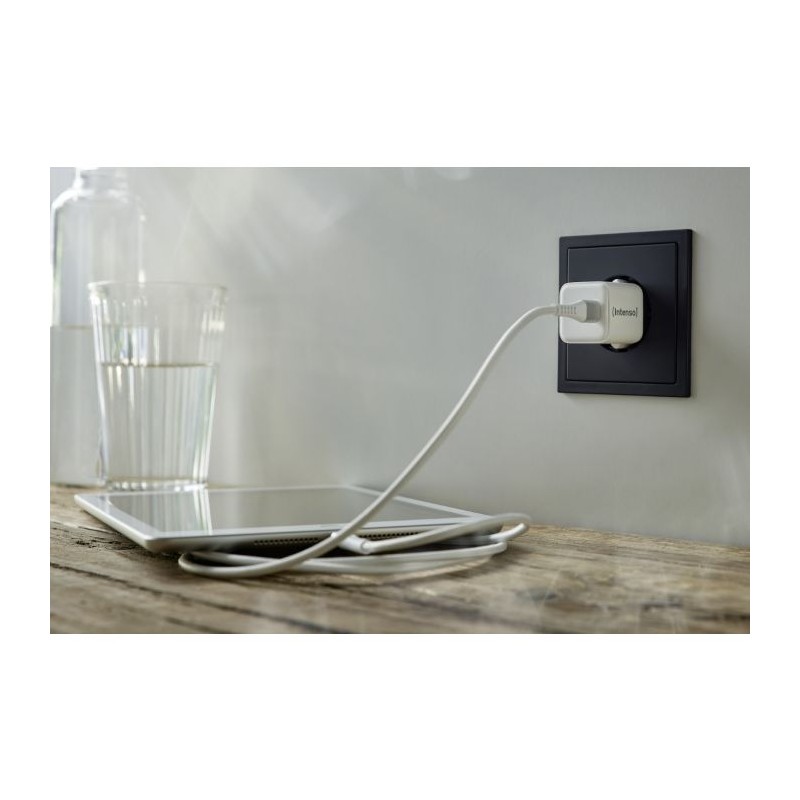 Napajalnik s priključkom Intenso 30W, USB-C, W30C
