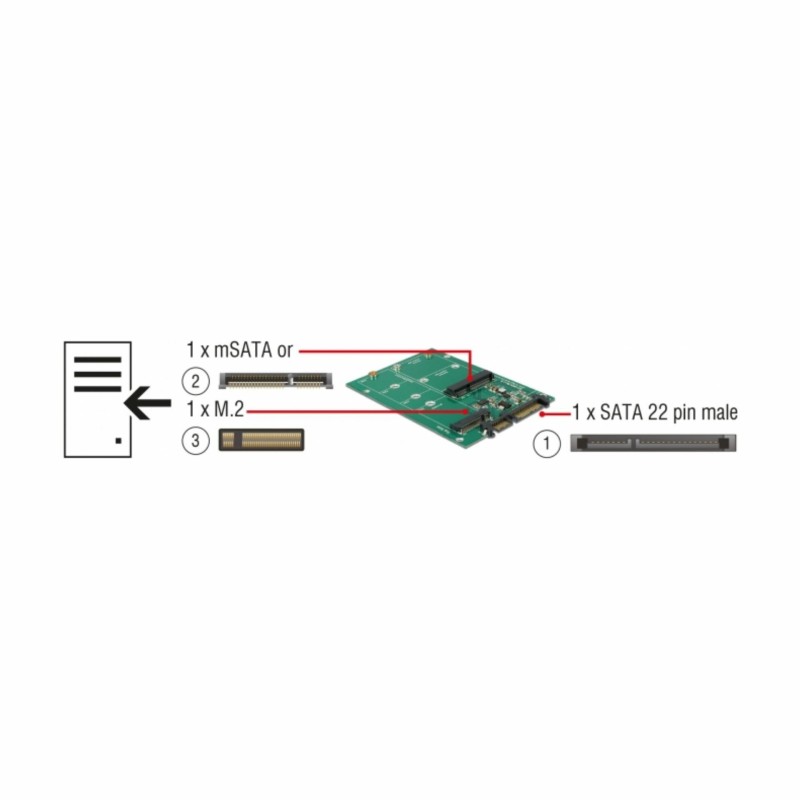 Adapter HDD SATA - M.2 NGFF + 1x mSATA Delock