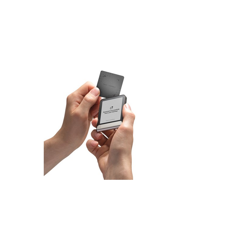 Denarnica za kriptovalute Ledger Flex z Recovery Key, grafitna
