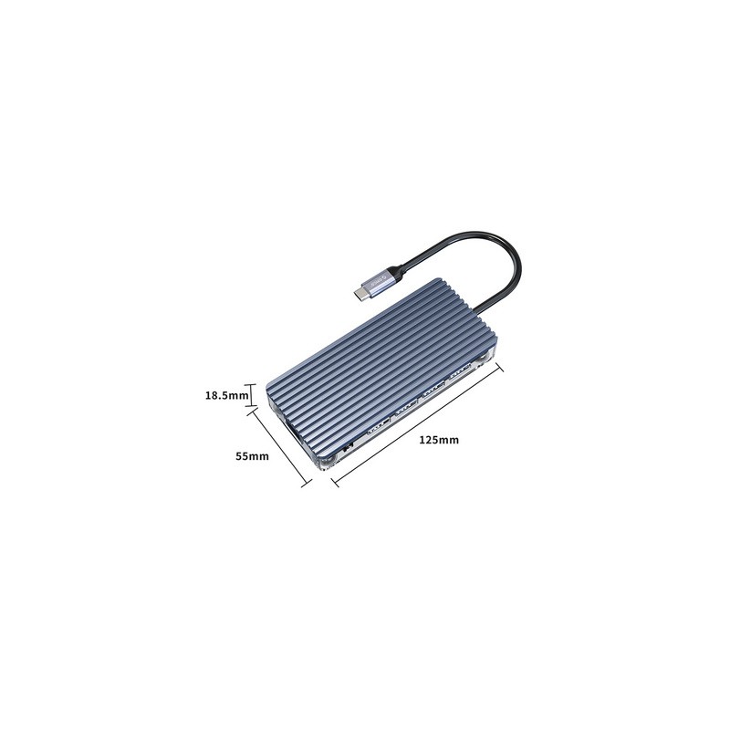 Priklopna postaja USB-C, 11 in 1, PD 100W, ORICO WB-11P