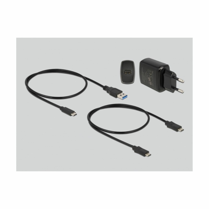 Čitalec in presnemovalec diskov Delock, USB-C 3.2 za M.2 NVMe SSD