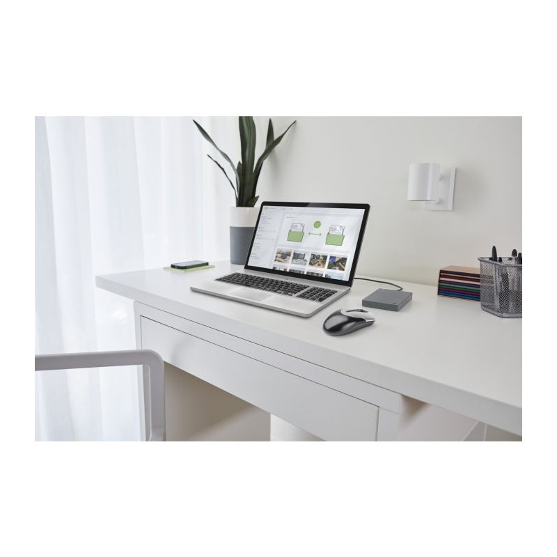 Zunanji trdi disk 2.5 1TB USB 3.0 Seagate Basic Portable, STJL1000400