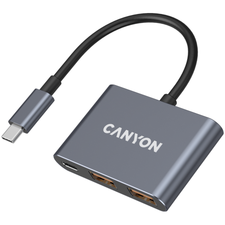 USB Hub CANYON DS-3, USB-C, siv