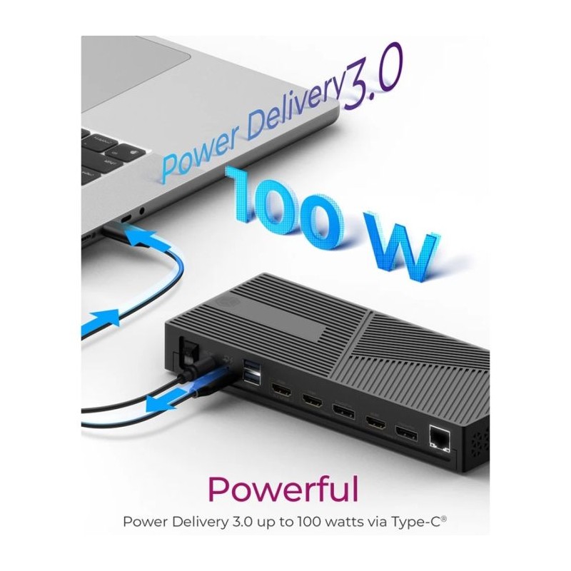 Priklopna postaja Icy Box IB-DK2246AC, 11-v-1, USB-C, z DisplayLink