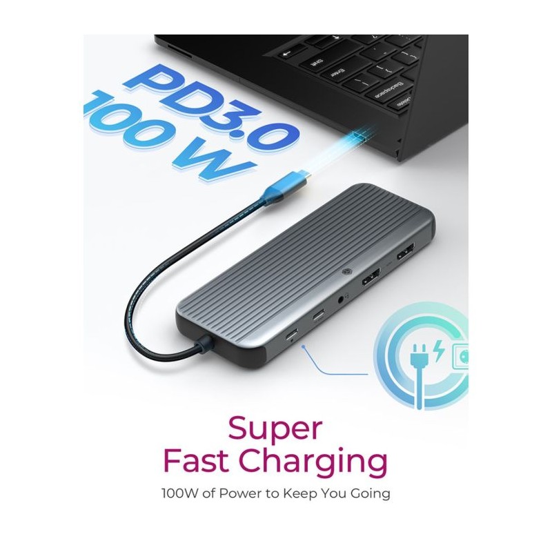 Priklopna postaja IcyBox IB-DK4060-CPD, 12-v-1, USB-C